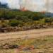 KDF AND COMMUNITIES UNITE TO PROTECT MT. KENYA FOREST ECOSYSTEM