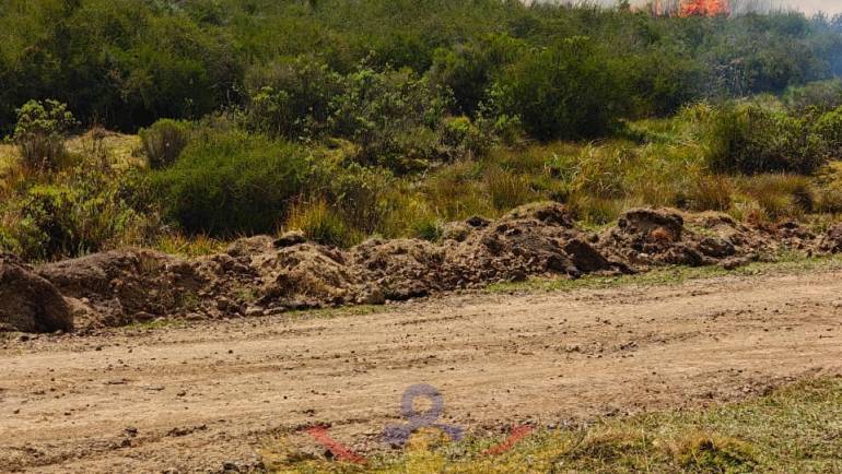 KDF AND COMMUNITIES UNITE TO PROTECT MT. KENYA FOREST ECOSYSTEM