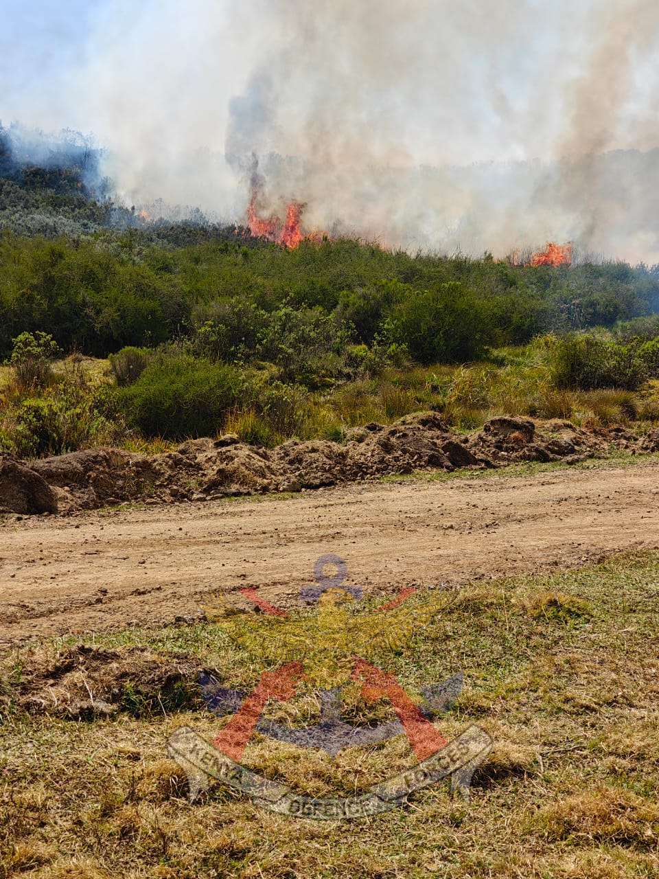 KDF AND COMMUNITIES UNITE TO PROTECT MT. KENYA FOREST ECOSYSTEM