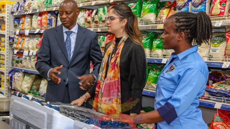 ADVANCING INSTITUTIONAL COLLABORATION IN WELFARE SERVICE DELIVERY